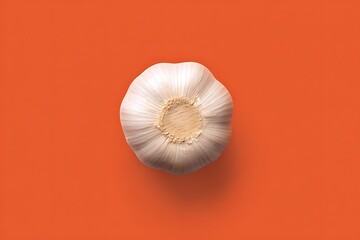 Garlic bulb on a vibrant orange background