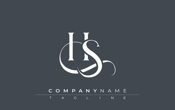 Initial HS Logo Design Vector. Elegant Monogram Logo Design with Decorative Elements and Typography