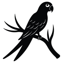 Fototapeta premium parrot-perched-on-tree-branch-silhouette-on-white-.eps