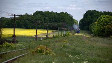 Movement of a railway locomotive through a picturesque area. Diesel locomotive on a narrow-gauge railway.