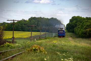 Movement of a railway locomotive through a picturesque area. Diesel locomotive on a narrow-gauge railway.
