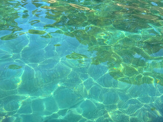 Transparent emerald green sea water surface 