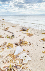 Plastic garbage on tropical beach, selective focus.