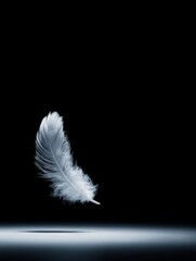 A delicate white feather in mid-air against a black backdrop.