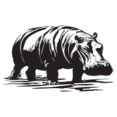 Black silhouette of Hippopotamus illustration icon for logo, isolated on white background, Hippopotamus line art silhouette