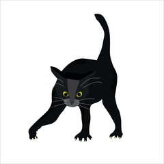Vector illustration of furious black cat. Flat style,isolated