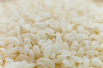 Close-up macro shot of white polished rice in shallow depth of field. Macro raw grain in soft focus