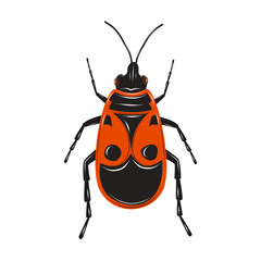 Firebug insect on a white background. Red and black beetle. Isolated vector illustration. 