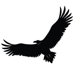 Obraz premium vulture-flying-silhouette-vector-illustration--.eps