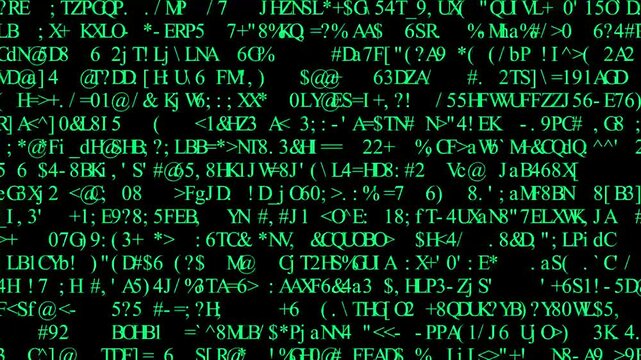 ext and Grids 1006: Rows of symbols and code scroll on a black screen