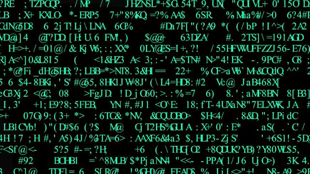 ext and Grids 1006: Rows of symbols and code scroll on a black screen
