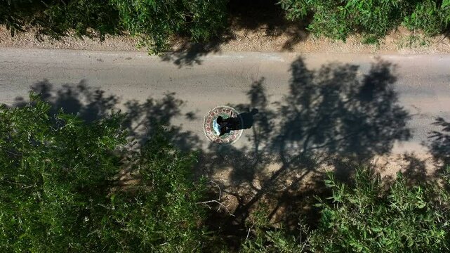 Aerial: Drone Top Lockdown Shot Of Man Playing Musical Instrument Amidst Green Trees In Forest - Tel Arad, Israel