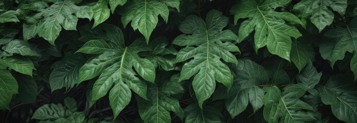 Lush, vibrant green leaves with intricate vein patterns ,  environment,  macro photography