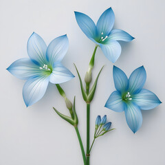 Fototapeta premium White flowers on a blue background with floral design and nature elements