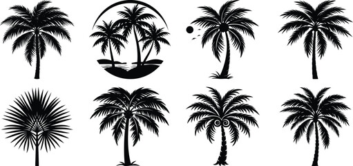 Fototapeta premium Palm tree silhouette vector illustration white background