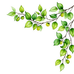 Obraz premium Bright watercolor painting showcases branches and fresh green leaves.