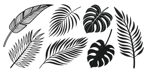 Collection of Tropical Leaf Silhouettes