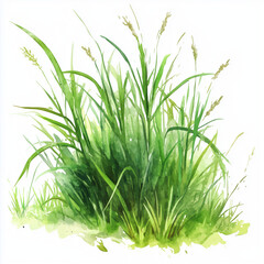 Obraz premium Grass and wildflowers clip art, hand-drawn, isolated on transparent background, digital illustration for nature, garden, outdoor scene, decoration, and creative projects.