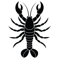 scorpion vector illustration