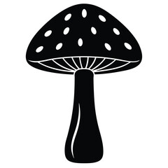 fly agaric isolated on black