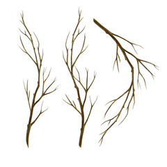 A set of bare tree branches. Handmade watercolor illustration. a color image of a natural element. The isolate. For postcards, prints, banners and posters.