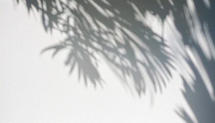 leaf shadow and light on wall background nature tropical leaves plant and tree branch shade with sunlight on white wall texture