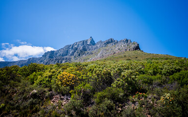 Goint to the top of Table Mountain, Cape Town, South Africa