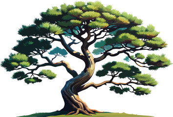 A watercolor illustration of a Japanese Black Pine (Pinus thunbergii), with rugged needles and textured bark, isolated on a white background 