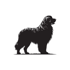 Majestic Leonberger dog silhouette vector featuring a powerful, gentle giant breed. Perfect for pet lovers, breed enthusiasts, logo designs, dog art, and graphic illustration projects.
