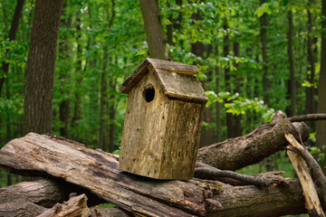 Natural wooden birdhouse on decaying logs in a green forest