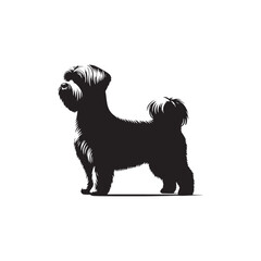 Elegant Maltese Dog vector silhouette featuring a long, flowing coat, compact frame, and graceful posture. Ideal for pet art, breed illustrations, clipart, and design elements.
