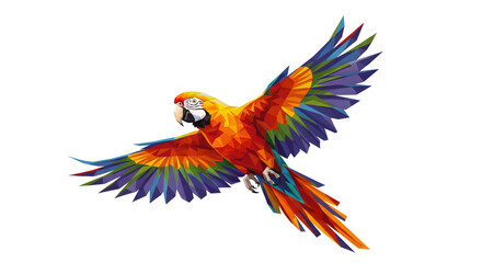 Obraz premium colorful parrot isolated on white
