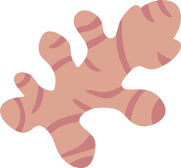 ginger root flat isolated silhouette