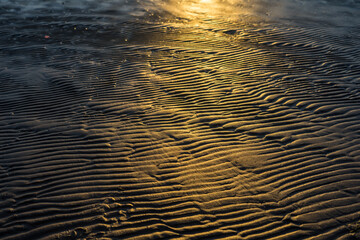 Sand Ripples Illuminated by Golden Sunlight