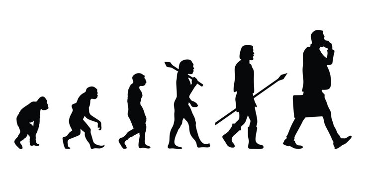 Human evolution silhouette vector.
