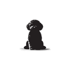 Elegant Maltipoo dog silhouette vector illustration featuring the playful charm of this poodle-Maltese mix breed, ideal for pet art, design projects, and dog lover graphics.
