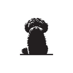 Elegant Maltipoo dog silhouette vector illustration featuring the playful charm of this poodle-Maltese mix breed, ideal for pet art, design projects, and dog lover graphics.
