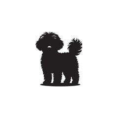 Elegant Maltipoo dog silhouette vector illustration featuring the playful charm of this poodle-Maltese mix breed, ideal for pet art, design projects, and dog lover graphics.
