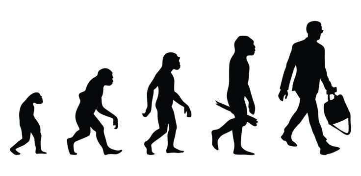 Theory of evolution of man silhouette