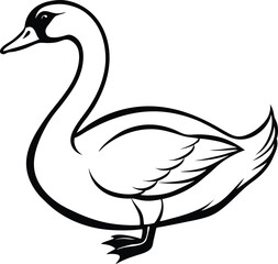 swan isolated silhouette