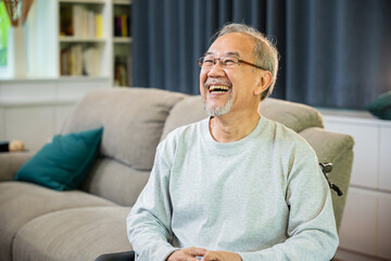 Portrait Asian old man alone relaxing on comfortable couch in cozy living room at home, happy...