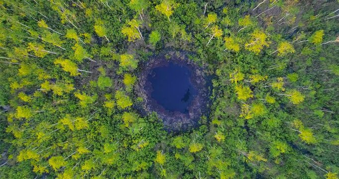 Aerial view of a marsh with a round lake