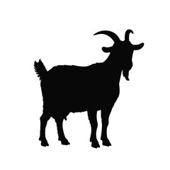 Cute boer goat silhouette isolated on white background. Boer goat icon vector illustration design.