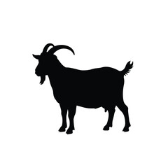 Cute boer goat silhouette isolated on white background. Boer goat icon vector illustration design.