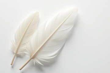 Obraz premium Crisp white feathers against stark white background, monochrome, pattern, wing