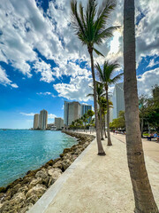 Miami baywalk with  palm trees, Bayfront Park, Florida, USA