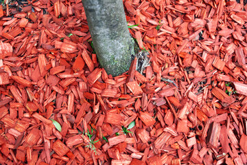 Red wood chips laid on the ground around a tree trunk.