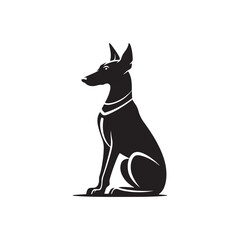 Pharaoh Hound silhouette showcases sleek, elegant lines of this ancient breed, highlighting its athletic build, pointed ears, graceful posture, alert expression, and noble desert heritage.
