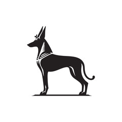 Pharaoh Hound silhouette showcases sleek, elegant lines of this ancient breed, highlighting its athletic build, pointed ears, graceful posture, alert expression, and noble desert heritage.
