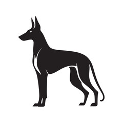 Pharaoh Hound silhouette showcases sleek, elegant lines of this ancient breed, highlighting its athletic build, pointed ears, graceful posture, alert expression, and noble desert heritage.
